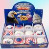 liberty dumplings 12pcs 016